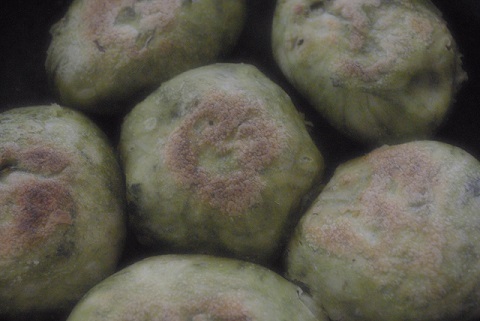 抹茶パン