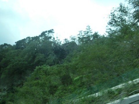 千葉の山