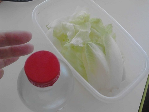 レタスとお水.jpg