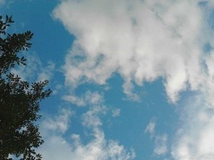 塩田の青空小.jpg