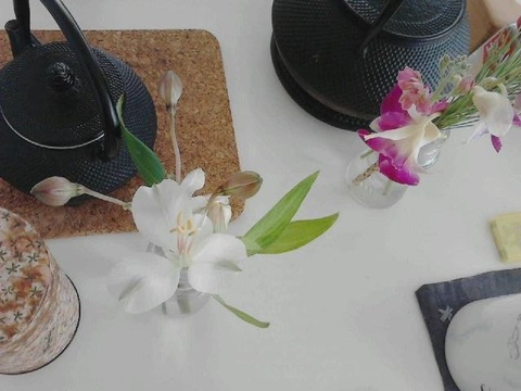 小正月の花.jpg