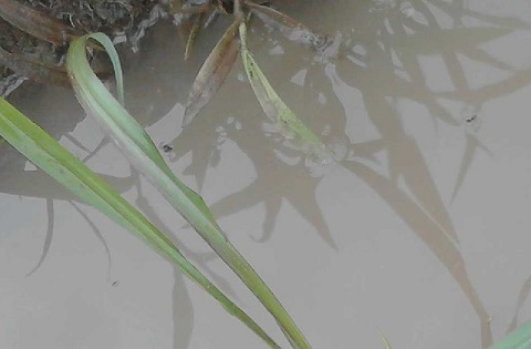 水路