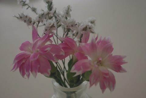白とピンクの花.jpg