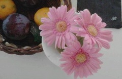 花と果物1.jpg