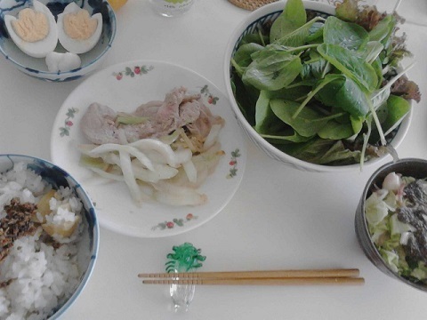 栗の朝ご飯