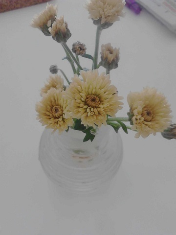 花瓶と黄菊