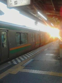 1166_s.jpg