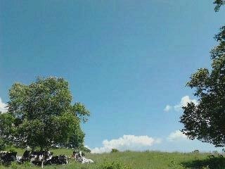 12091_s_r.jpg