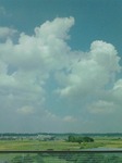 12818_s.jpg